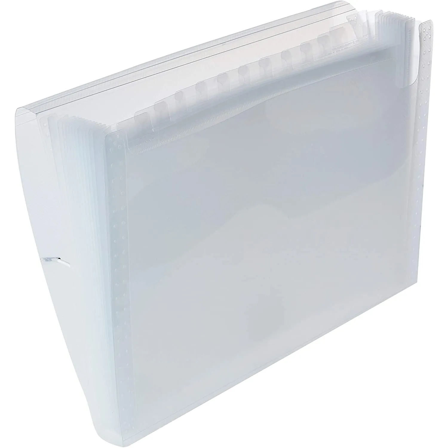 Pasta Sanfona A4 com 12 Divisórias Transparente